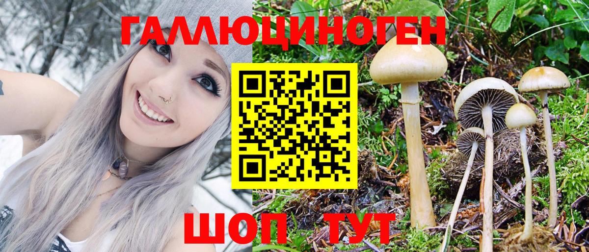 Псилоцибиновые грибы MAGIC MUSHROOMS Элиста